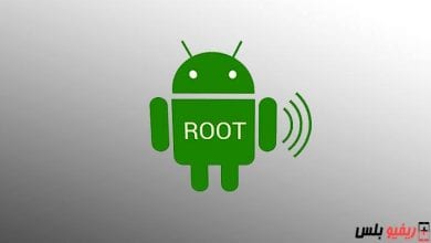 root